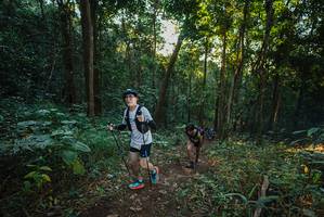 BIB: 
                            <button type="button" onclick="openModal(22538212)" class="btn btn-primary btn-sm float-right btn-popup" data-toggle="modal" data-target=".modal-high-quality">
                        <i class="fas fa-shopping-cart"></i> Add to Cart
                    </button>
                                            <button type="button" onclick="isThisMe(22538212, true)" class="btn btn-success btn-sm float-right btn-popup btn-isme hidden" data-toggle="tooltip" data-placement="bottom" title="นี่คือรูปของคุณใช่ไหม คลิกที่นี่เพื่อเอาเข้าอัลบั้ม">
                        <i class="fas fa-plus"></i> Add to album
                    </button>
                    <button type="button" onclick="isThisMe(22538212, false)" class="btn btn-warning btn-sm float-right btn-popup btn-isnotme hidden">
                        <i class="fas fa-ban"></i> Remove from album
                    </button>